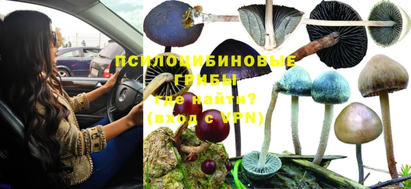 наркотики Богданович