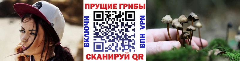 Псилоцибиновые грибы MAGIC MUSHROOMS  omg сайт  Фролово 